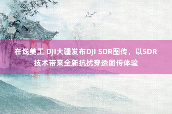 在线美工 DJI大疆发布DJI SDR图传，以SDR技术带来全新抗扰穿透图传体验