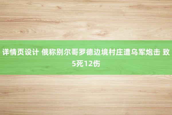 详情页设计 俄称别尔哥罗德边境村庄遭乌军炮击 致5死12伤